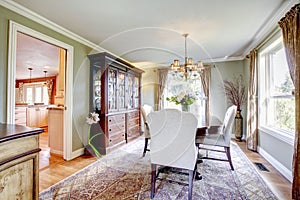 Olive and brown dining room with aristocratic furniture