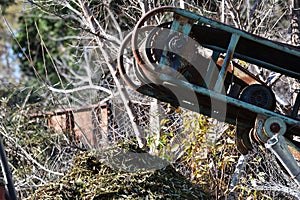 Olive defoliating machinery with a conveyor belt