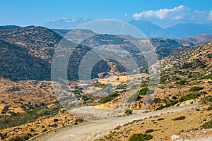 Olive fields on Crete Island in Greece