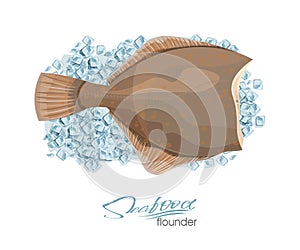 Olive Flounder. Vector illustration sea fish on ice cubes isolated on white background. Icon badge flounder fish for