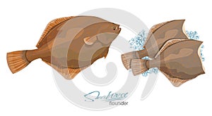 Olive Flounder. Vector illustration sea fish on ice cubes isolated on white background. Icon badge flounder fish for