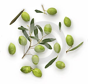Olive fruit and olive leaves on a white background