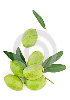 Olive fruit and olive leaves on a white background