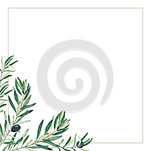 Olive golden frame. Black olive branches. Hand drawn watercolor botanical illustration isolated on white background. Can