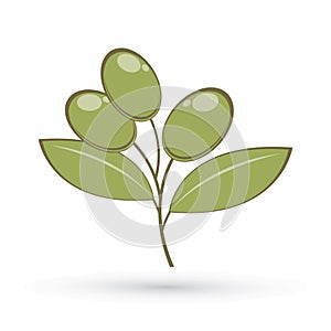Olive graphic vector