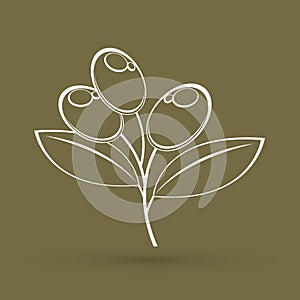Olive graphic vector