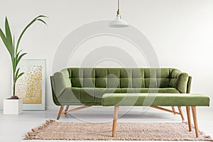 Olive green, stylish settee and an upholstered bench in a bright living room interior with white walls and a plant. Real photo.