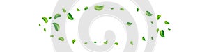 Olive Greens Ecology Vector Panoramic White