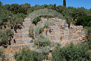 Olive grove, Meganissi