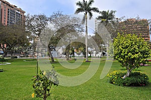 Olive Grove Park (or El Olivar Forest) in San Isidro district - Lima