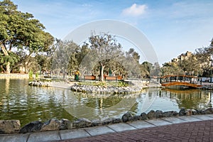 Olive Grove Park & x28;or El Olivar Forest& x29; in San Isidro district - Lima, Peru photo