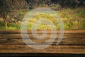 Olive grove with wood table