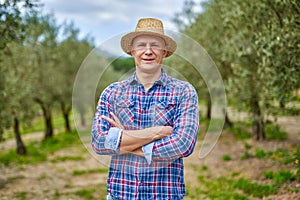 Olive grower working in olive grove.