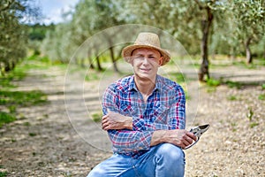 Olive grower working in olive grove.