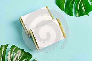 Olive handmade herbal natural soap bar from organic plant with paper label on a tropical leaf and pastel blue background