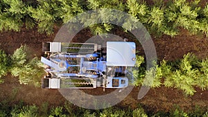 Olive Harvester passing over rows of Olive Trees, Aerial footage of the process.