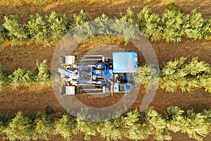 Olive Harvester processing rows of Olive trees, aerial image.