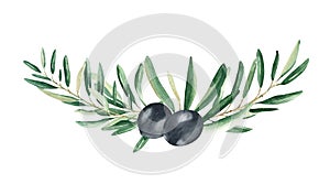 Olive horizontal bouquet branches with black olives isolated on white background. Watercolor hand drawn botanical