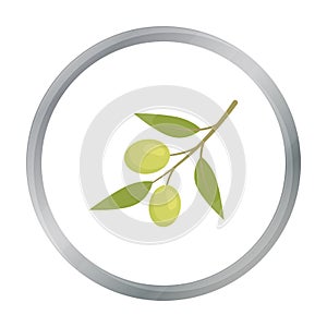 Olive icon cartoon. Singe vegetables icon from the eco food cartoon.