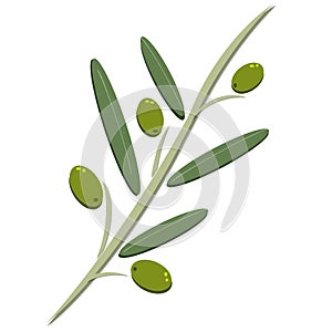 Olivový ilustrácie 