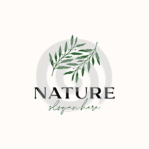 Olive Leaf Branch Logo Template Isolated in White Background