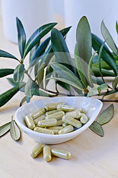 Olive leaf extract in capsules. Dietary Supplements. photo