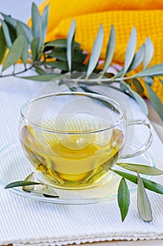 Olive leaf herbal tea. Dietary Supplements.