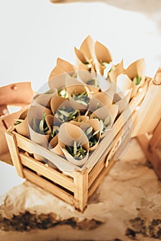 Olive leaves as a wedding confetti