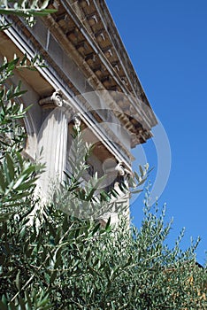 Olive leaves in front of greek temple