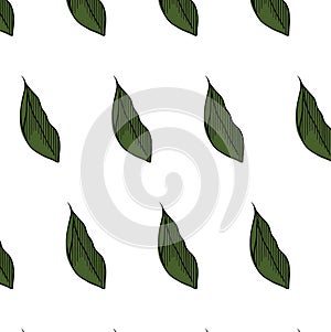 Olive leaves seamless pattern. Vector graphic line ink colored illustration. abstract organic shapes pattern. background for