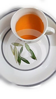 Olive leaves tea fresh tasty cup hot white