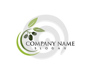 Olive logo template vector icon