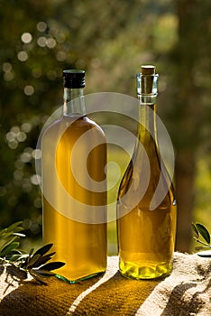 Olivový olej 