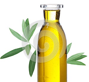 Olive oil