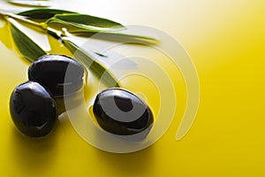 Olive oil