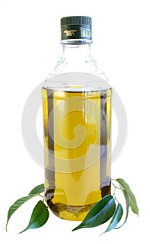 Olive oil