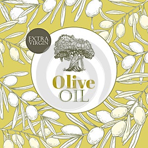 Olive oil banner design template. Sketch style olive branches and extra virgin vector label