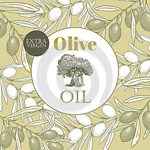 Olive oil banner design template. Sketch style olive branches and extra virgin vector label with olive tree on light background.