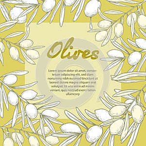 Olive oil banner design template. Sketch style olive branches and extra virgin vector label with olive tree on light background.