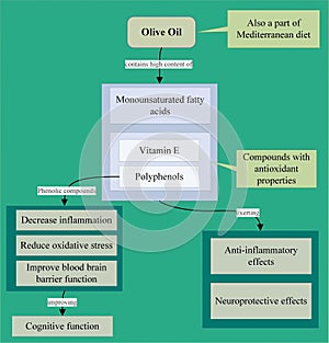 Olive oil is beneficial in improving cognition