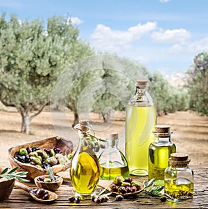 Olive oil and berries are on a wooden table under the olive tr