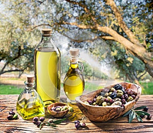 Olive oil and berries are on the wooden table under the olive tr