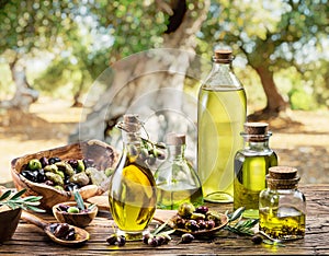 Olive oil and berries are on the wooden table under the olive tree