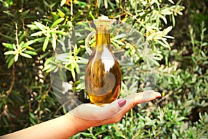 Olive Oil bottle