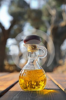 Olive oil in a bottle on the background of the olive grove