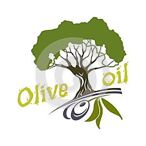 Olive oil bottle and product label templates. Vector icons of green olives branch and extra virgin natural organic oil