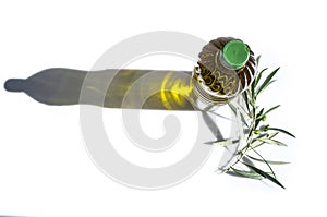 Olive oil bottled with young olives branch