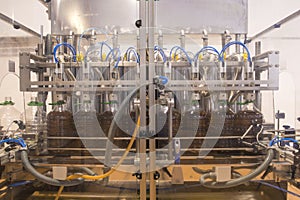 Olive oil factory, Olive Production