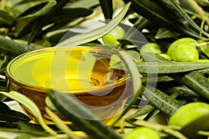 Olive oil. Glass transparent bowl full of greek olive oil among olive leaves and olives. Close-up macro, high resolution