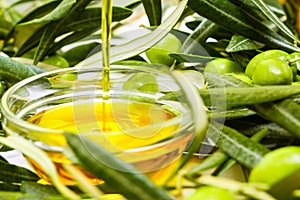 Olive oil. Greek freshly squeezed olive oil is poured into a glass transparent bowl among olive branches with leaves and olives.